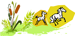 logo2